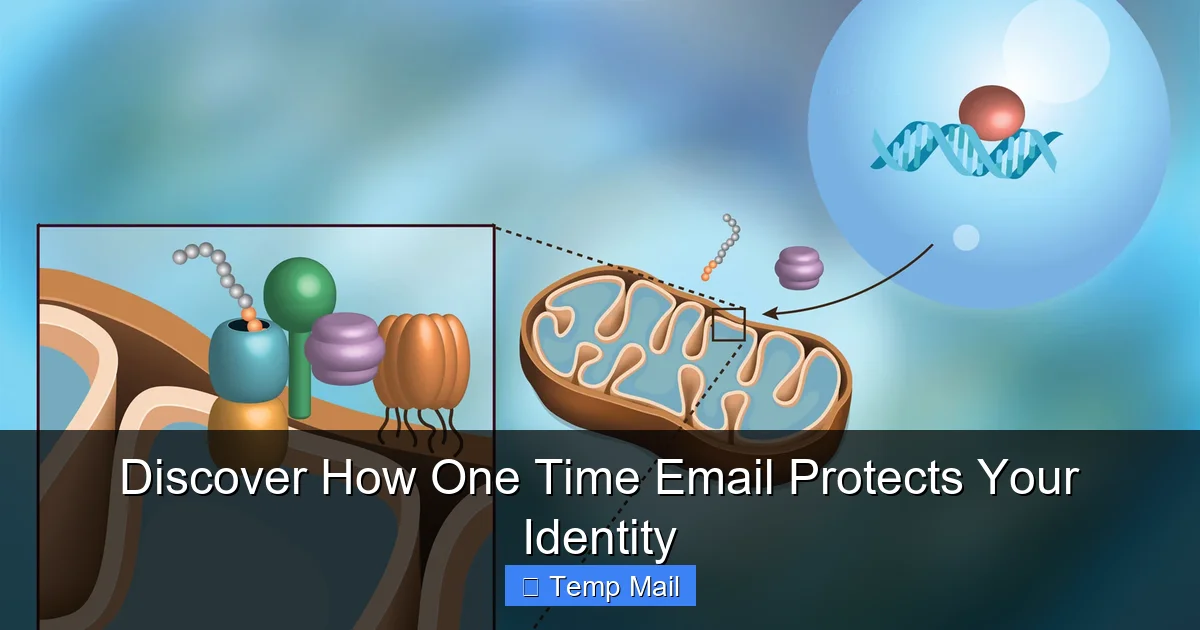 Discover How One Time Email Protects Your Identity