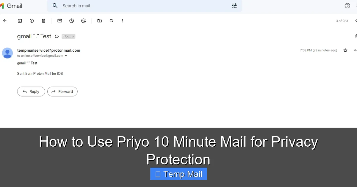 How to Use Priyo 10 Minute Mail for Privacy Protection